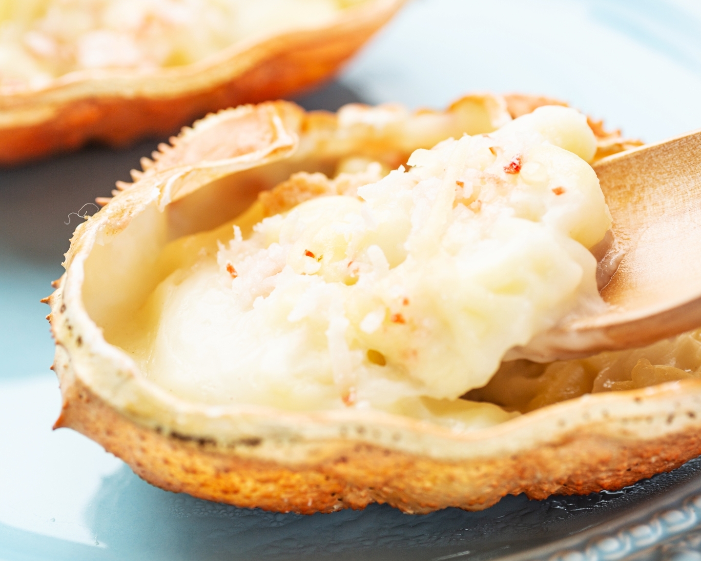 カニの甲羅グラタン ズワイガニ