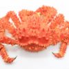 花咲ガニ　写真