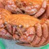 特大毛ガニの通販　