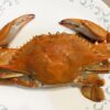 皿に盛りつけた茹でたブルークラブ　Blue Crab