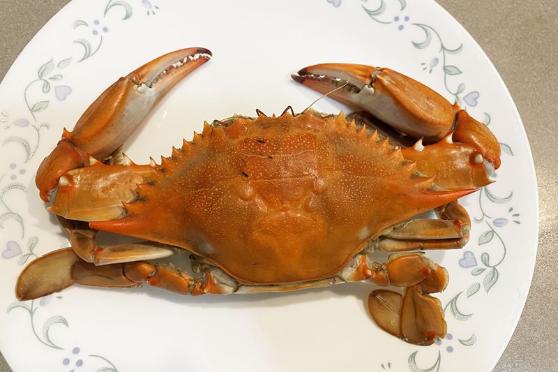 皿に盛りつけた茹でたブルークラブ Blue Crab