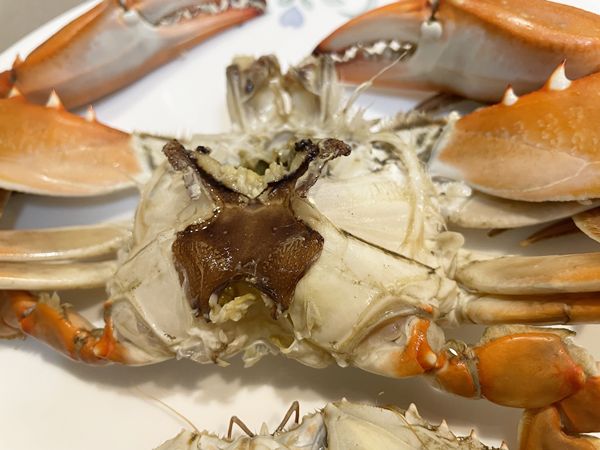 蒸し上がったブルークラブの甲羅を外した状態