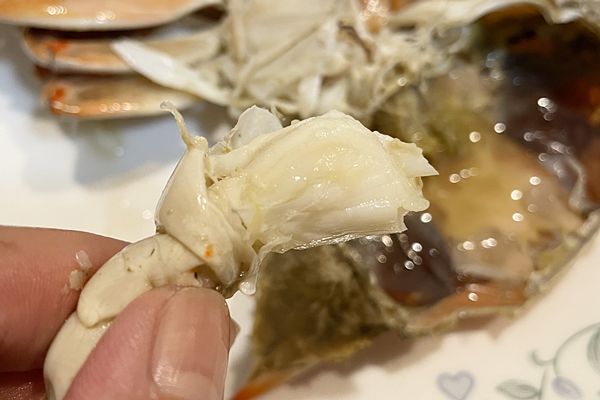 蒸し上がったブルークラブの肩肉のアップ