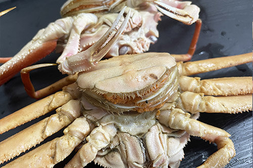セコガニ 外子 実食