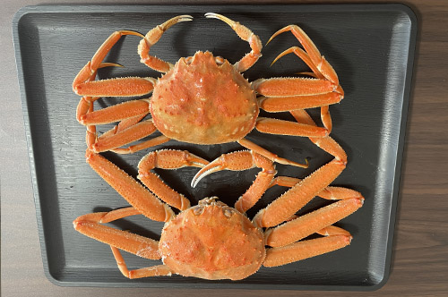 セコガニVSズワイガニ食べ比べ