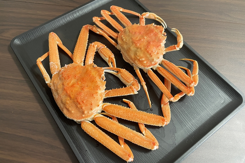 ズワイガニとセコガニ食べ比べ