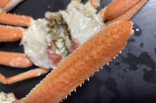 ズワイガニの脚の味