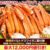快適生活 トゲズワイガニ